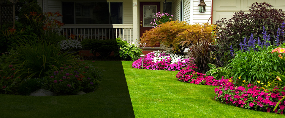 Glenside Landscapers