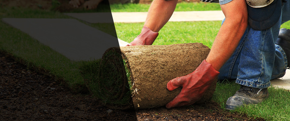 Glenside Landscapers